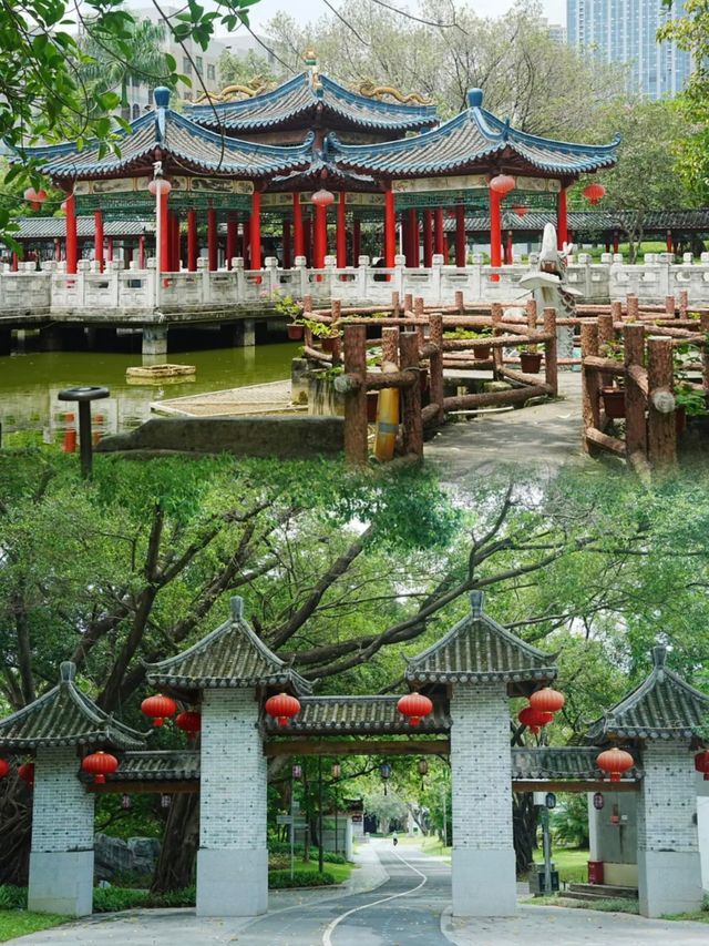 藏唔住啦！深圳隱世龍園，99%嘅人都唔知