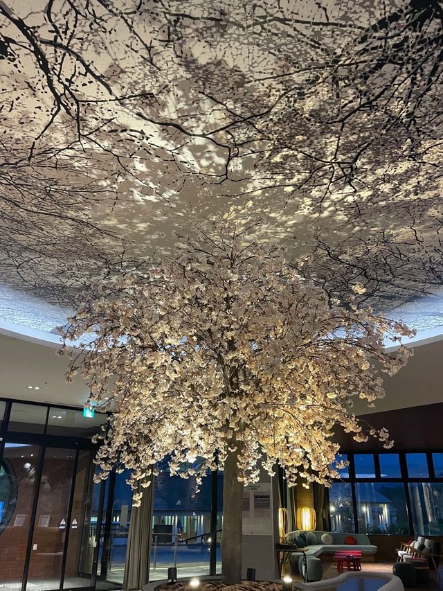 北海道Tomamu法式秘境 北海道Tomamu法式秘境