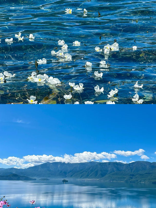 無濾鏡，在晴空下看到完美的青海湖 8月2日從西寧租車，用兩個半天沿著青海湖完成了一場悠閒的環湖之旅。