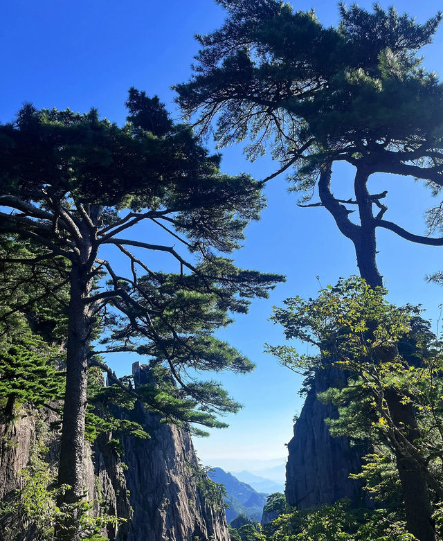 黃山必去雲海奇觀 黃山必去雲海奇觀