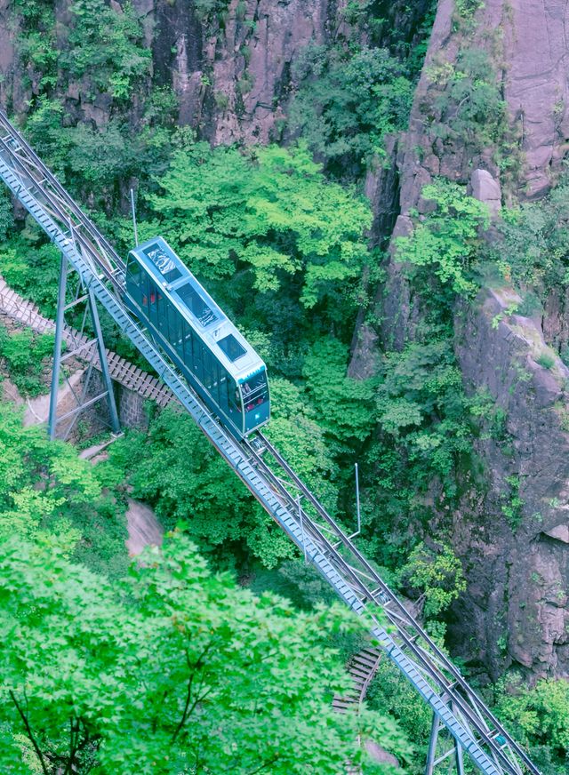 黃山懶人攻略｜後山上前山下！新手友好路線 看遍精華還不累