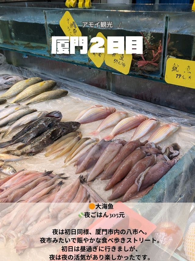 🇨🇳厦門旅行　2日目