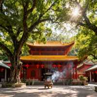 《韶關：嶺南古韻與自然奇觀的完美交融》