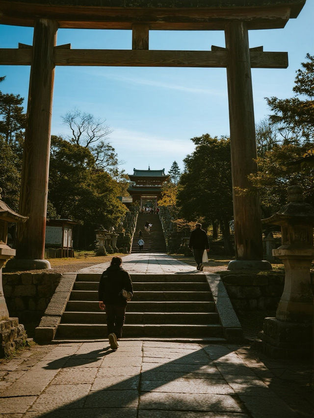 奈良公園手記｜在神鹿與古寺間收藏唐朝遺落的時光