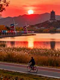 秋日逃離計劃:4大寶藏地+出片秘笈,人均300玩轉絕美秋景