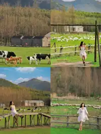想去莫干山旅遊的姊妹存一下～愛聽大實話