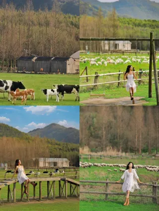 For sisters planning to travel to Moganshan, save this～Love hearing the honest truth