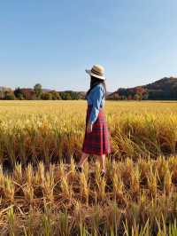 牡丹江秋天的絕美風景