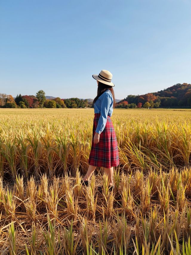 牡丹江秋天的絕美風景 牡丹江秋天的絕美風景