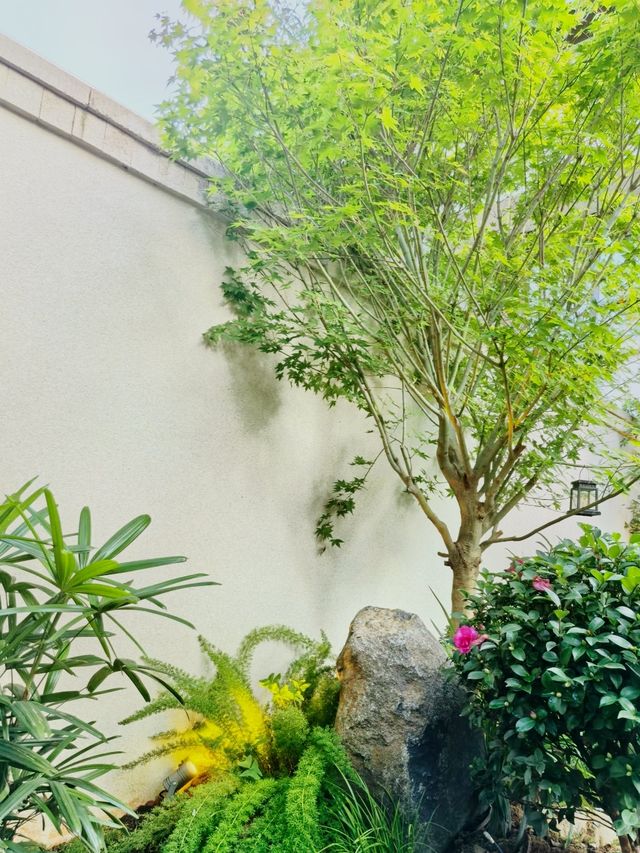 曬曬我的聯排中戶花園｜小戶型的精緻生活