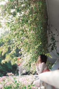 深圳仙湖植物園 | 停車場變身粉色瀑布花海