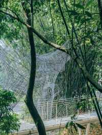 秘境林間咖啡驛站 風袂驛