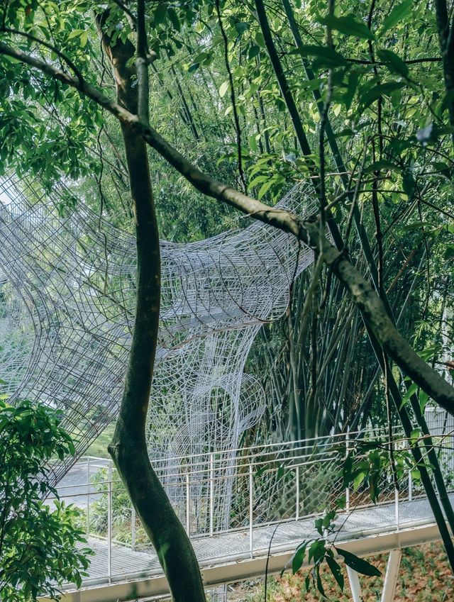 秘境林間咖啡驛站 風袂驛