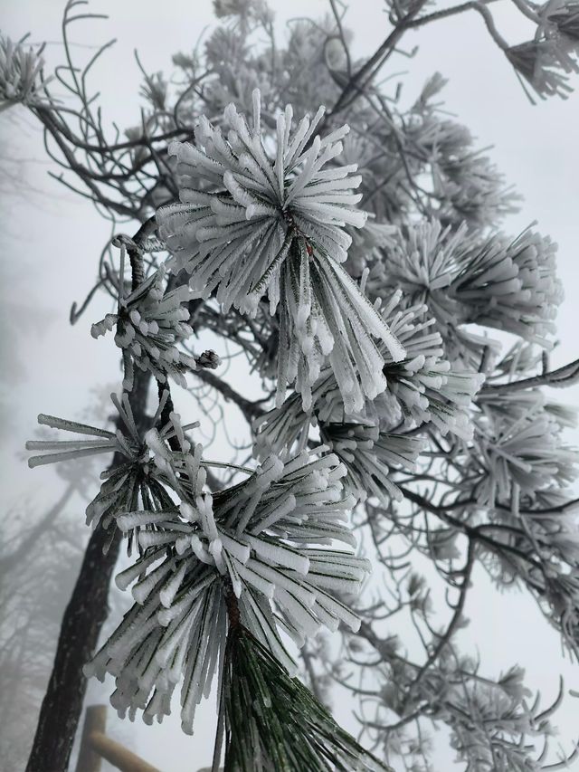 愛我就帶我去明月山 愛我就帶我去明月山