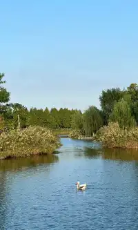 10.17上海小眾粉黛公園沒想到這麼美!!
