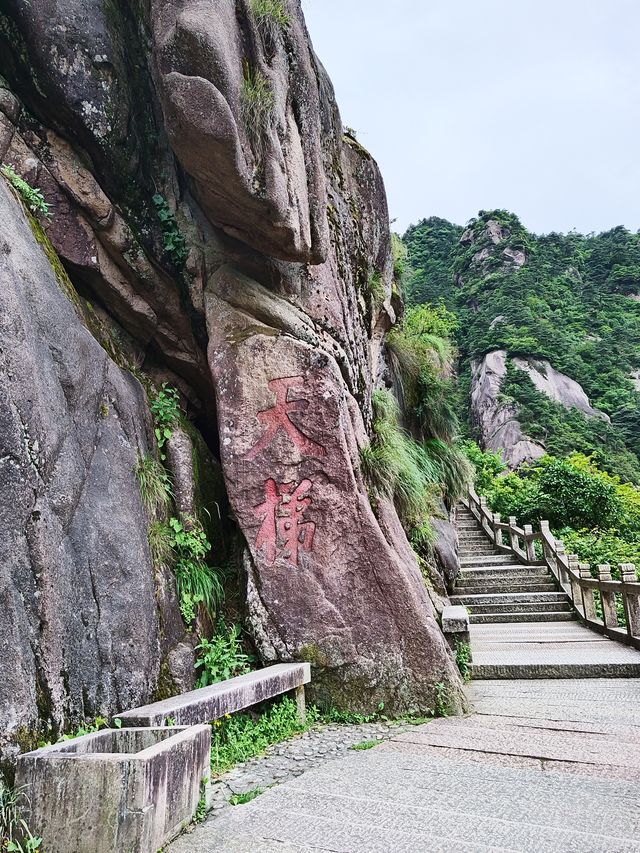 閔園尼庵群,悠揚古鐘鳳凰松 閔園尼庵群,悠揚古鐘鳳凰松