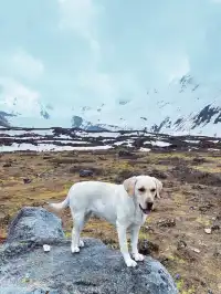 波密小眾景點