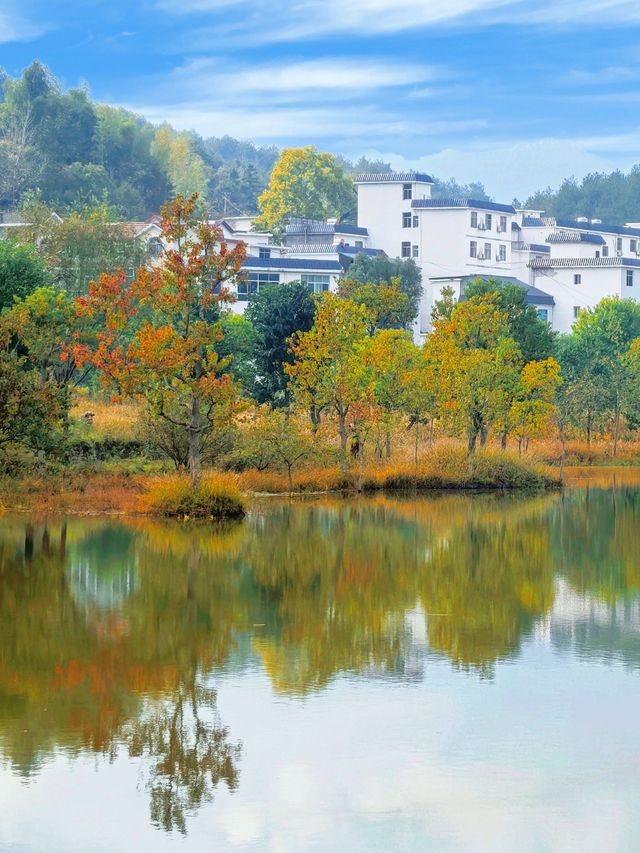 水上紅葉、晨霧牧牛，秋季必打卡的天堂