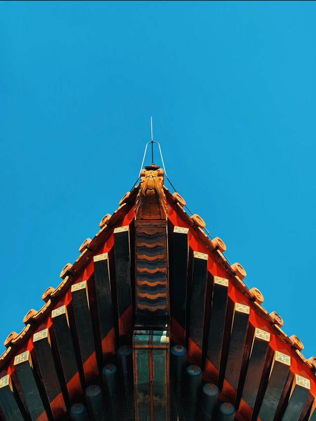 北京絕美打卡地太廟遇上藍天美到窒息