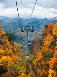 米倉山 秦巴秘境，層林染翠