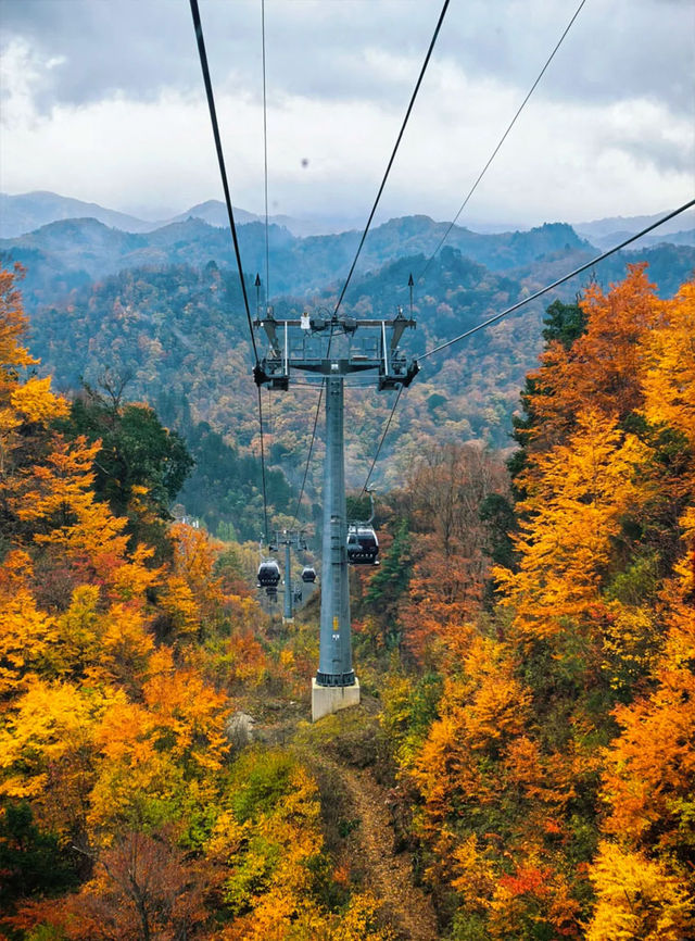 米倉山 秦巴秘境，層林染翠