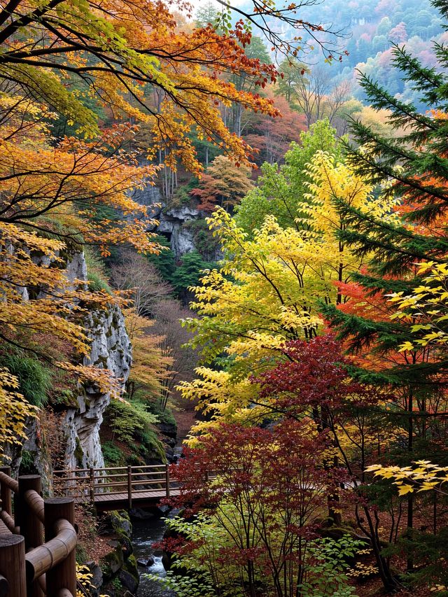 密雲私藏紅葉秘境比香山人更少景更美！