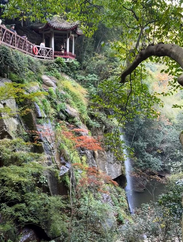 莫干山的秋！藏在古道裡的彩色秘境