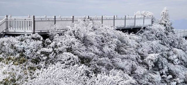 八台山冬季雪景活動豐富 八台山冬季雪景活動豐富