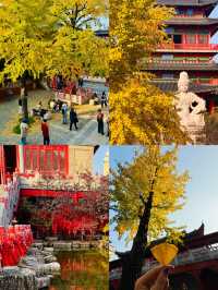 南京銀杏天花板毗盧寺金色風暴美到窒息！