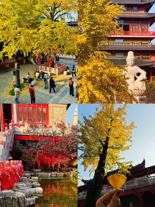 南京銀杏天花板毗盧寺金色風暴美到窒息！