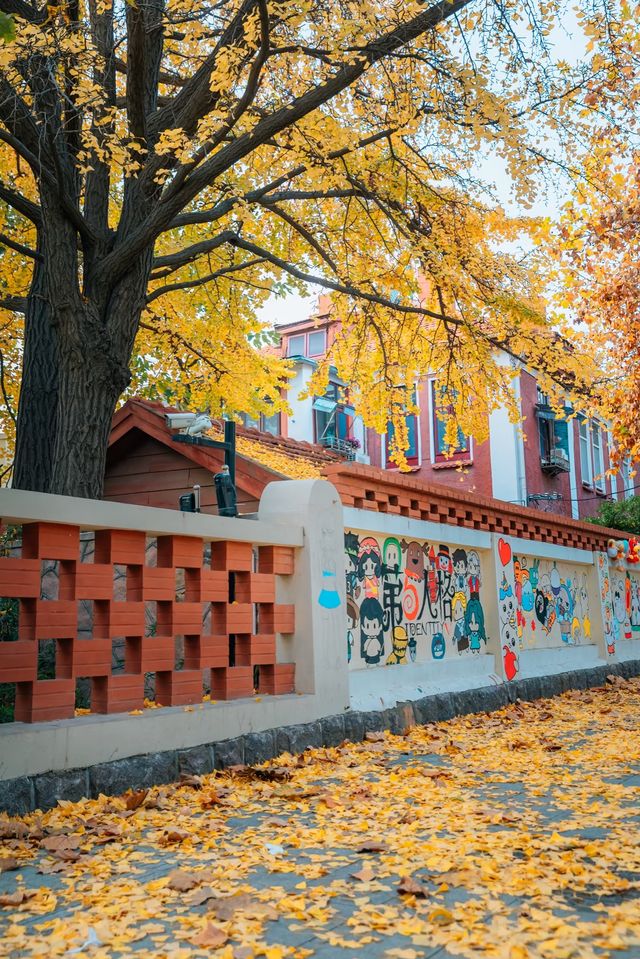 青島，藏匿著愜意的街景
