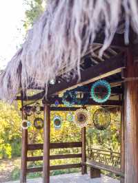 杭州秋日天花板|西溪濕地秋蘆飛雪懶人攻略