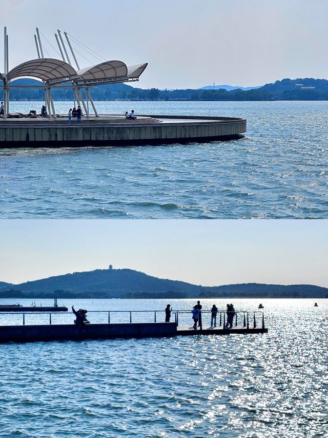 無錫免費躺平寶地！蠡湖渤公島逛吃一整天，紅嘴鷗+湖景絕了