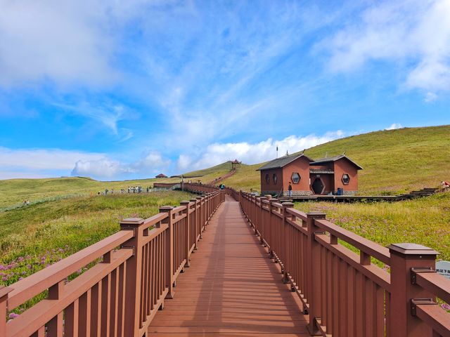 藏在貴州的 “高山小草原”，騎馬看雲超治癒！  貴州一處能 “假裝在內蒙古” 的寶藏地 —— 二台坡