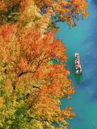 江西賞秋寶藏地