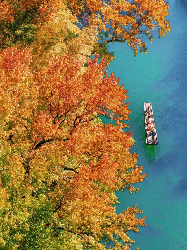 江西賞秋寶藏地