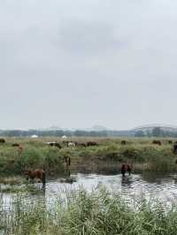 大草原與鋼鐵之城的碰撞！包頭3大必打卡地標暴走指南