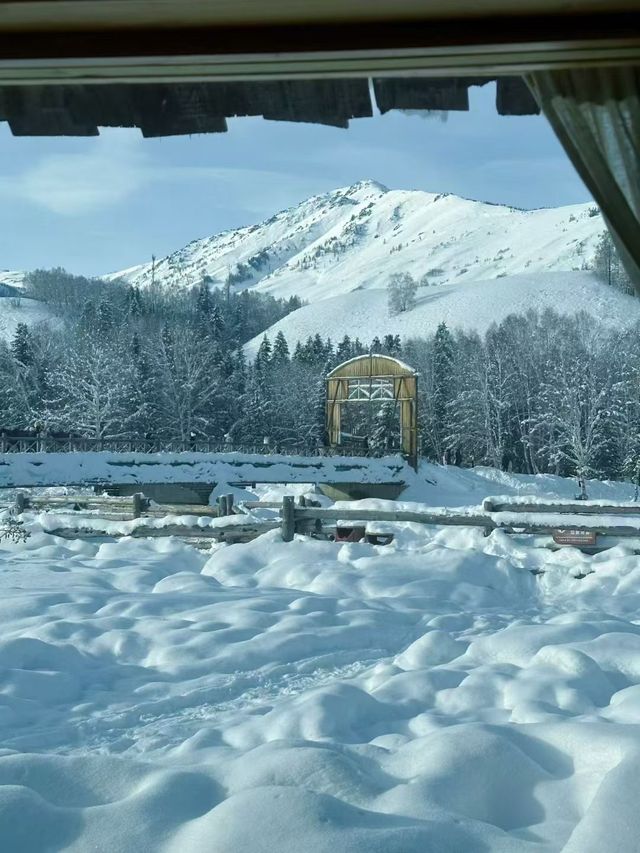 雪落人間，把世界裹成純白童話