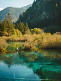 九寨溝親子童話遊！彩林海子+7天環線攻略