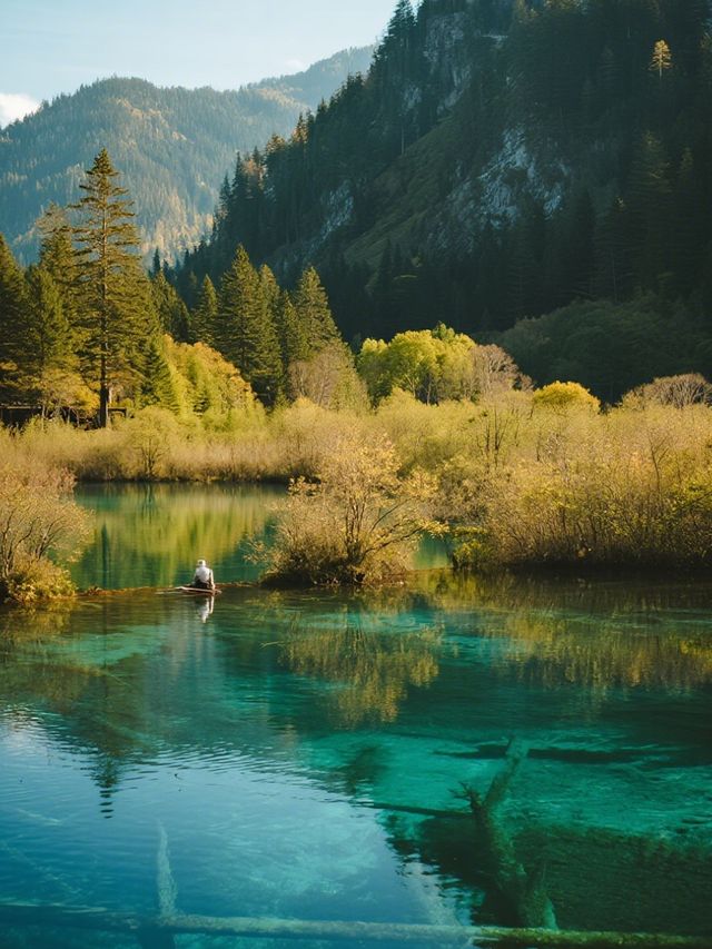 九寨溝親子童話遊！彩林海子+7天環線攻略