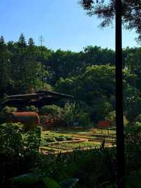 廣州4號線藏了一座「魔幻莊園」闖進末日科幻片 人少景美!