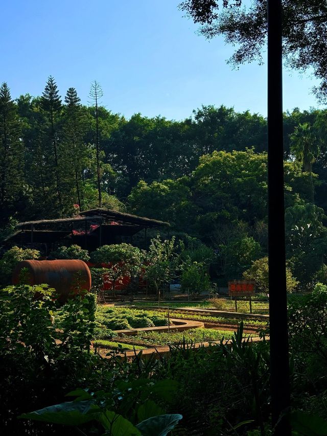 廣州4號線藏了一座「魔幻莊園」闖進末日科幻片 人少景美! 廣州4號線藏了一座「魔幻莊園」闖進末日科幻片 人少景美!