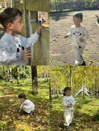 室外遛娃｜諸暨五泄 闖入秋葉世界