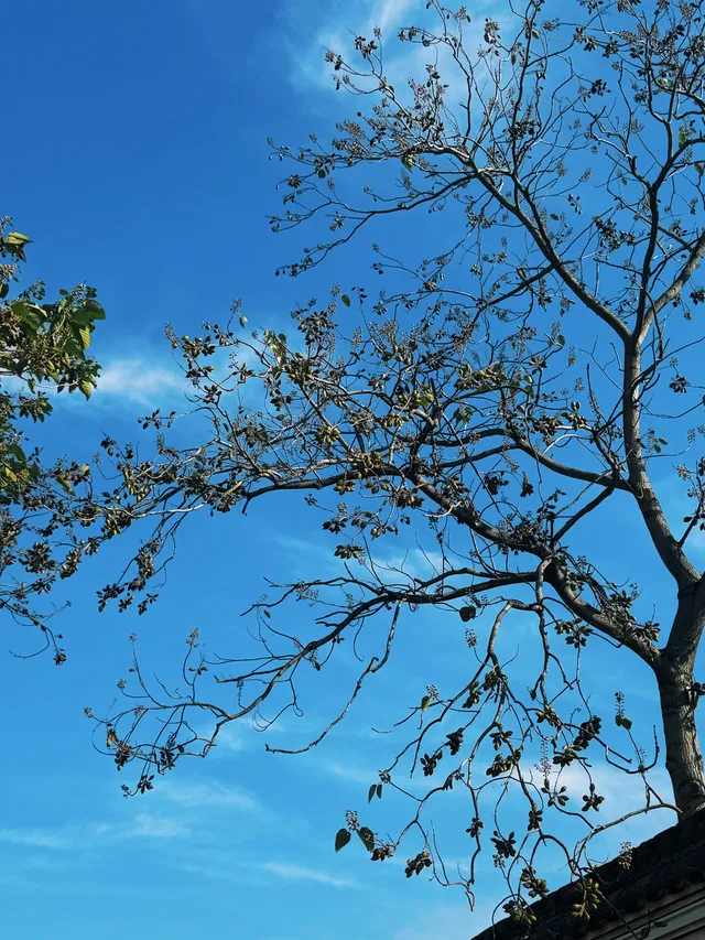 工作日的慈城古鎮 工作日的慈城古鎮