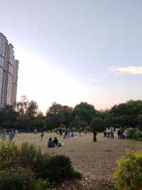 上海·秋冬銜接的中山公園