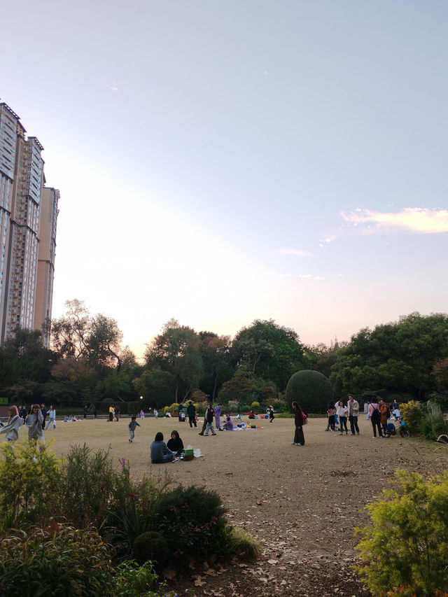 上海·秋冬銜接的中山公園 上海·秋冬銜接的中山公園