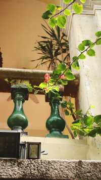 鼓浪嶼上,與百年時光對望