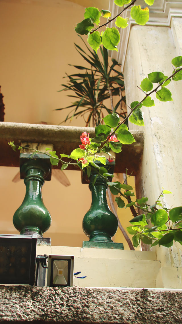 鼓浪嶼上,與百年時光對望 鼓浪嶼上,與百年時光對望