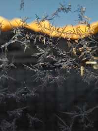 太幸運了吧，不僅看到了日出還看到了冰花