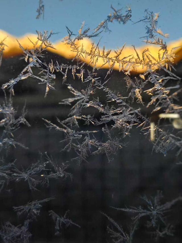太幸運了吧，不僅看到了日出還看到了冰花